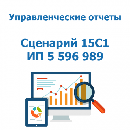 Отчеты - Сценарий 15C1(3) - ИП 5 596 989